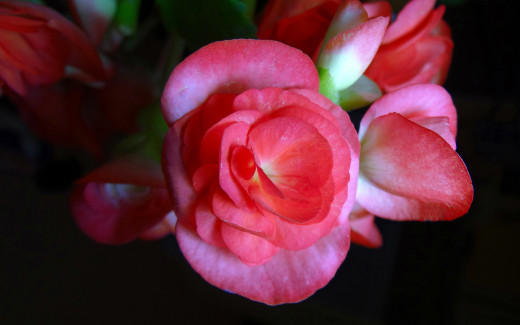 696693 (a): :2560x1600